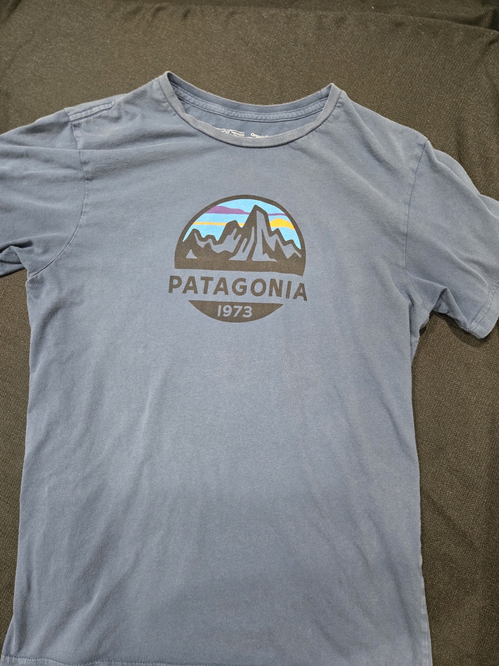 Patagonia Slim Fit Tee in Slate Blue with White Print